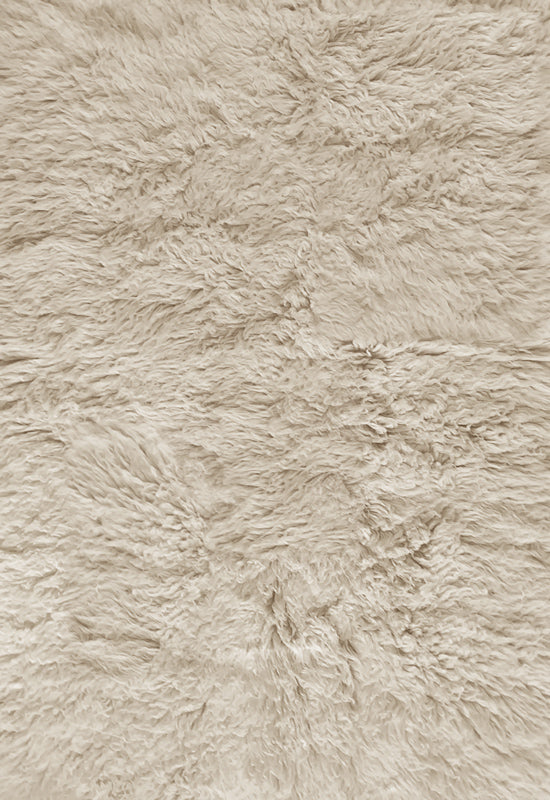 Shaggy Oatmeal Sample