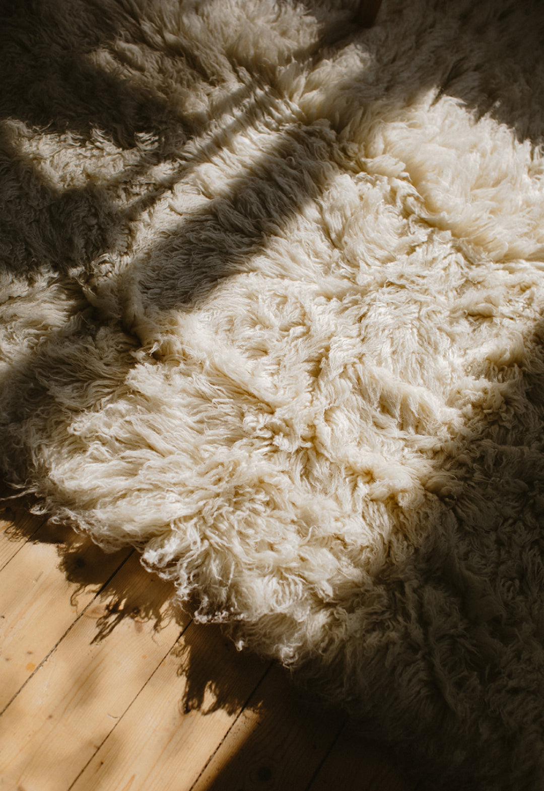 Shaggy Bone White