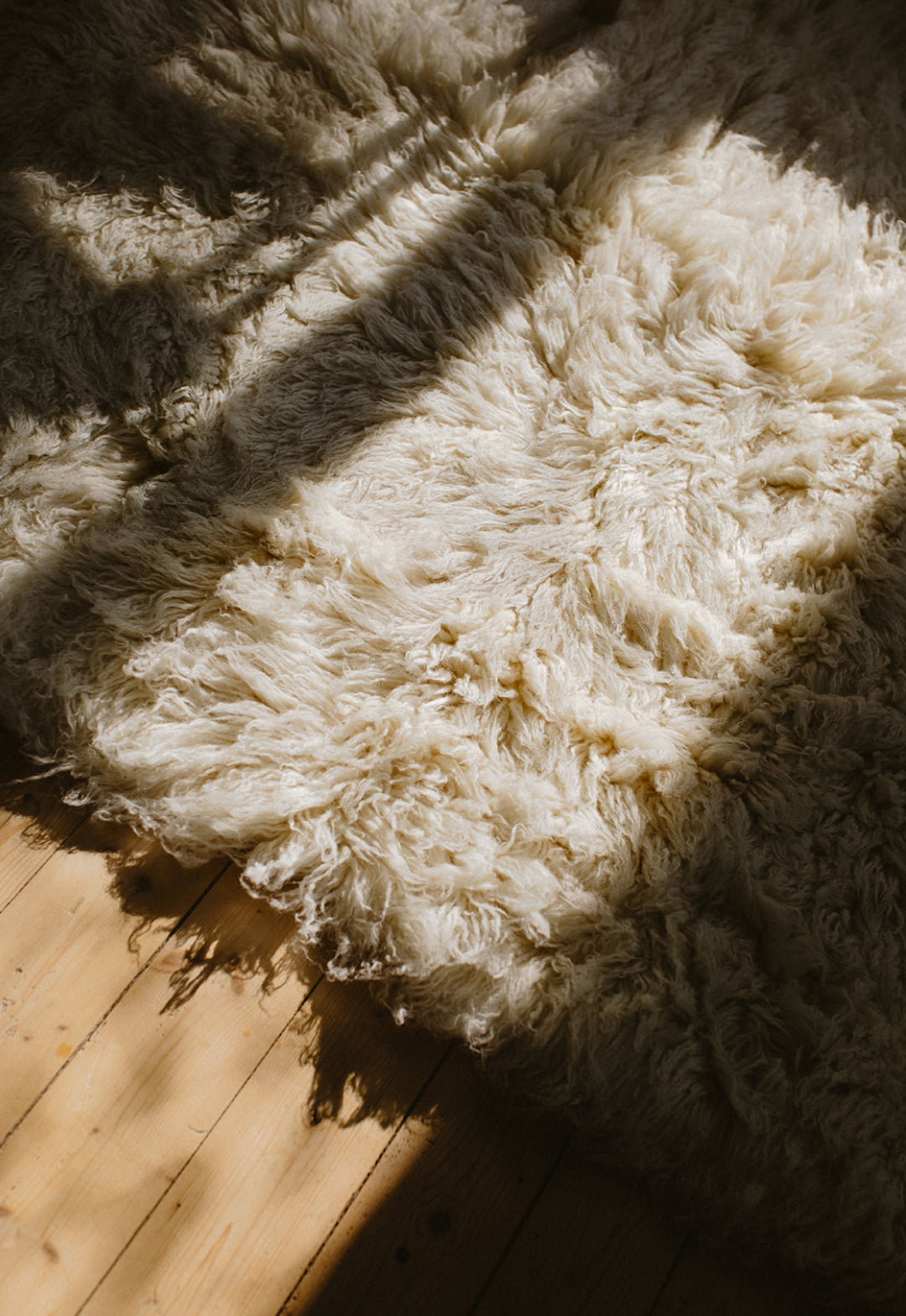 Shaggy Bone White